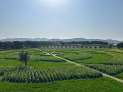 -苏州太湖西山岛开心农场