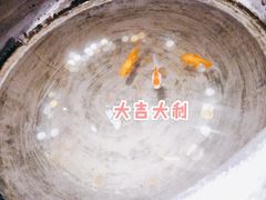 -大海碗·京菜炸酱面(雍和宫店)