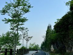-万峰林风景区