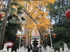 -九华山公园