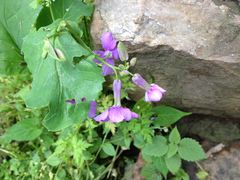 景点-穹窿山景区