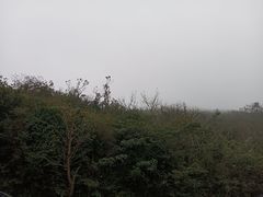 -北仑森林植物园