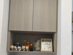 -宠物星动物医院·眼科·异宠·猫科(江南大道总院)