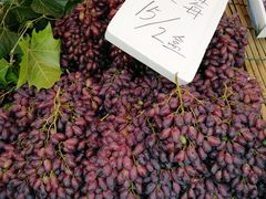 -三旗百汇商品城