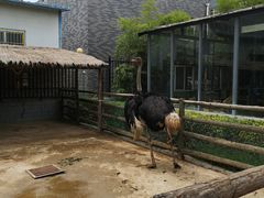 -瑞博尔花园酒店(太周创新产业园店)