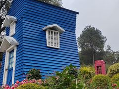 -铁山坪森林公园