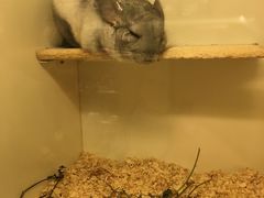 -龙猫仔乐园(惠福东路店)