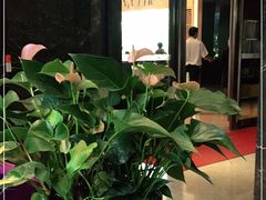 -金汇酒楼(中山东区店)