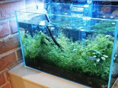 -毛家饭店·融合新湘菜·主题宴(齐鲁软件园店)