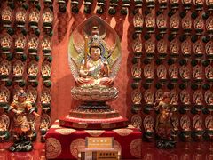 -新加坡佛牙寺龙华院