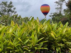 -中国科学院西双版纳热带植物园