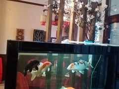 -鸭味飞飞