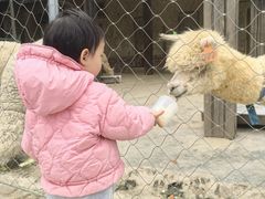 -南昌动物园