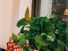 -管氏翅吧(国展店)