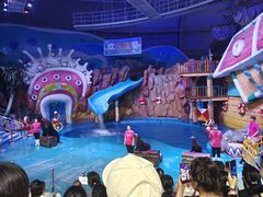 -烟台海昌鲸鲨海洋公园