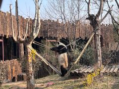 -济南野生动物世界