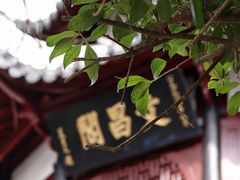-文昌阁
