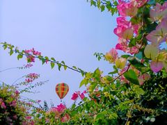 -中国科学院西双版纳热带植物园