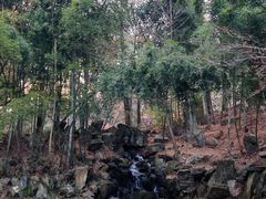 -庐山风景区花径公园