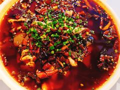 -庆合府重庆大排档(紫都城店)