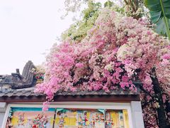 -深圳国际园林花卉博览园