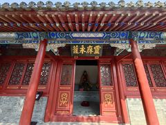 -药王庙(安国市)