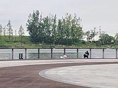 -云里小坐·小院里·团建·宴请·下午茶(三圣乡店)
