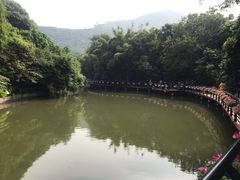 -月亮湾公园