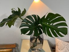 -六婶西关小厨(光塔路店)