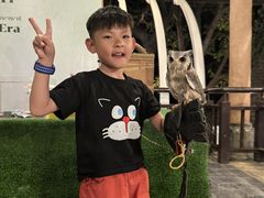 -清迈夜间动物园