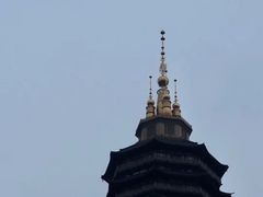 -听松楼-中餐厅.家宴(红梅公园店)