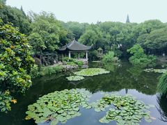-叶家花园