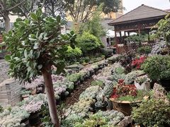 -山菌美食苑(振兴路店)
