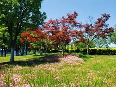 -白塘生态植物园