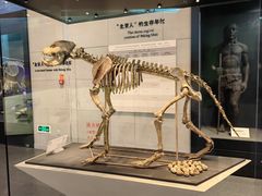 -北京周口店北京人遗址博物馆