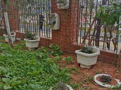 -厦门市蔡塘学校