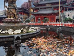 -上海东林寺(金山区)