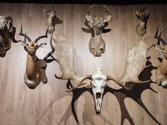 -陕西自然博物馆