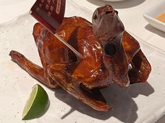 -侨美食家·41年地道粤菜(珠江新城店)