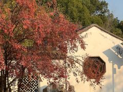 -八大山人梅湖景区