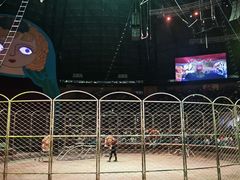 -俄罗斯国家大马戏团