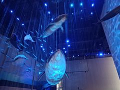 -伯爵·沉浸式超级密室·直营店