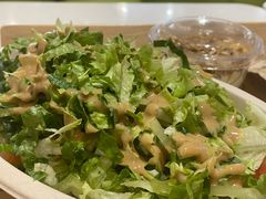 -油梨树 AVOCADO TREE(亮马桥店)