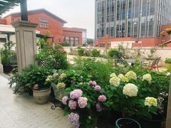 -沙龙酒家