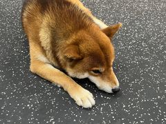 -博纳私人订制健身(中集美兰湖店)