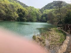 -白马涧龙池景区