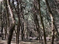 -马銮湾景区