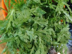 -三里屯土灶炖公鸡地锅鸡(江东店)