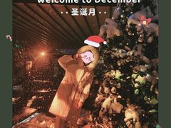 -纽扣NEWKO