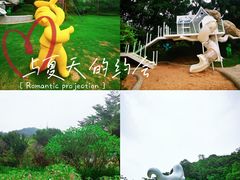 -银湖山郊野公园-相思林